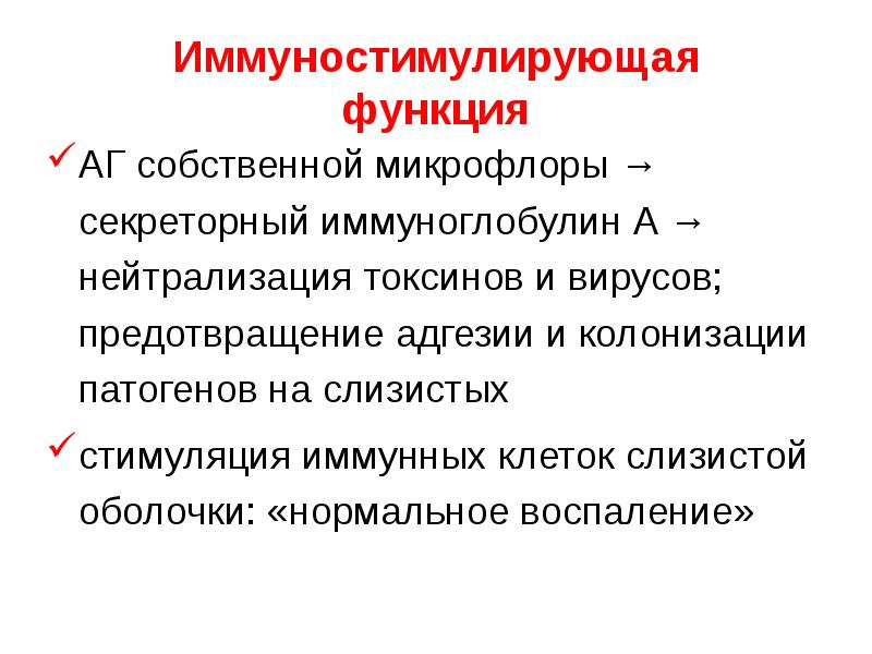   Иммуностимулирующая
функция
АГ собственной микрофлоры → секреторный иммуноглобулин А → нейтрализация токсинов и вирусов; предотвращение адгезии и колонизации патогенов на слизистых
стимуляция иммунных клеток слизистой оболочки: «нормальное воспаление»
