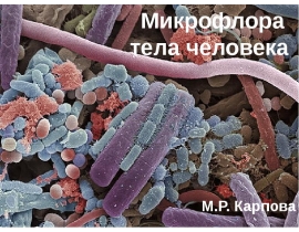 Микрофлора тела человека