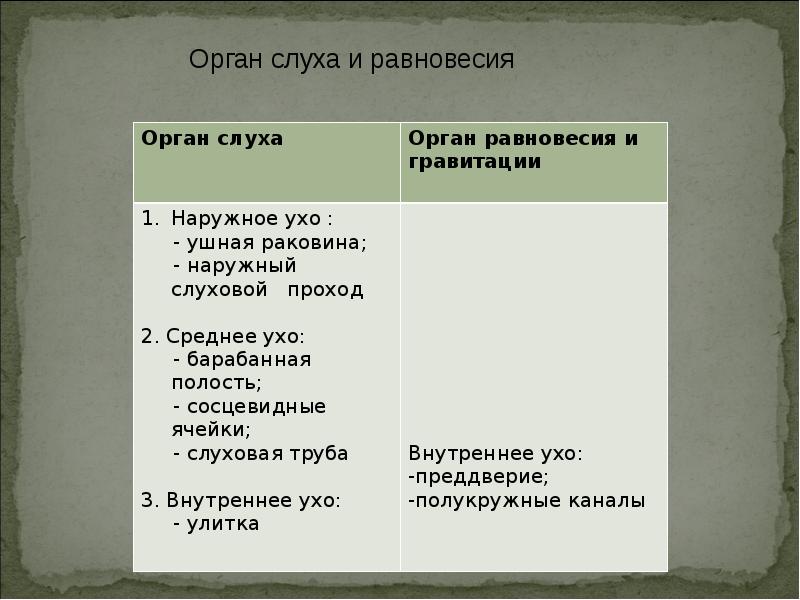 Строение статокинетического отдела уха статокинетический анализатор равновесия презентация