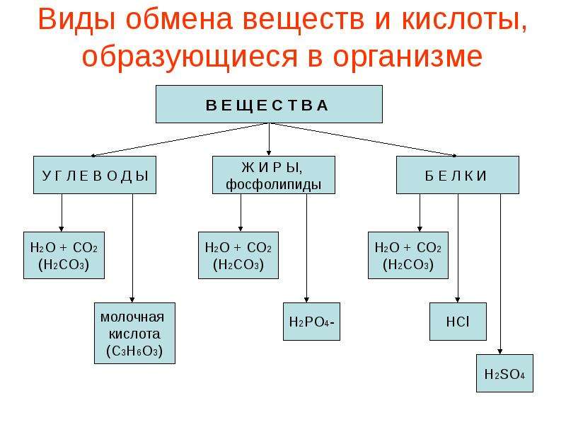 Что такое кос патофизиология