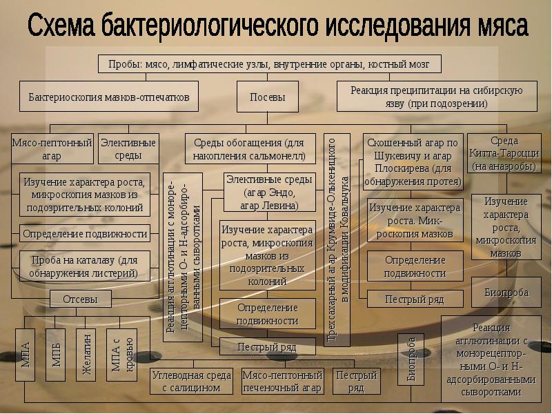 Схема бактериологического исследования