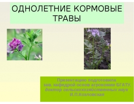 ОДНОЛЕТНИЕ КОРМОВЫЕ ТРАВЫ