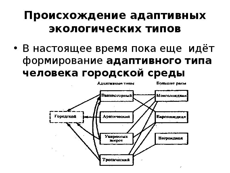 Адаптивные особенности