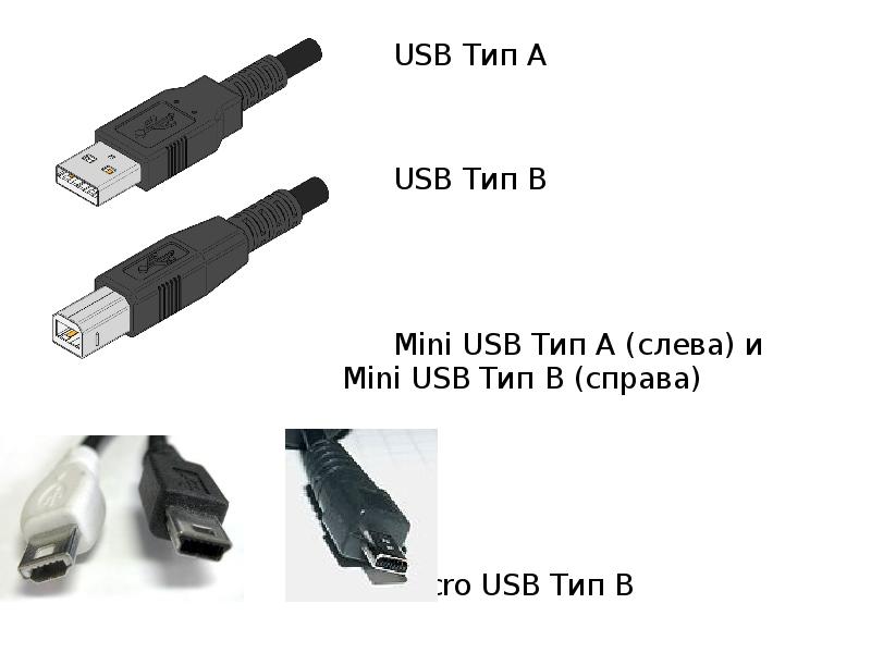 Usb type b что это такое фото