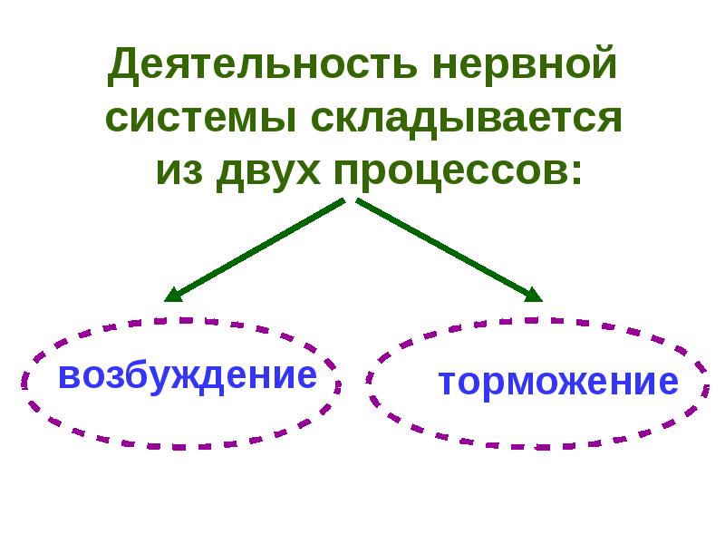 Возбуждение деятельности