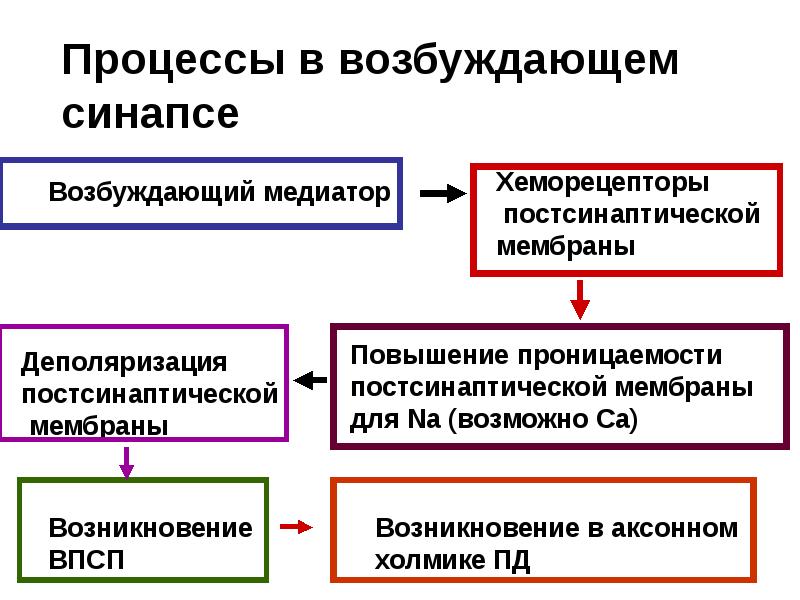 Возбуждения сообщение