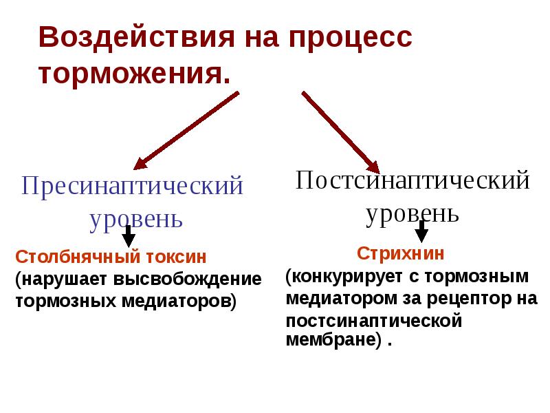 Типы тормозных процессов. Процесс торможения в ЦНС. Возбуждение и торможение в нервной системе. Характеристика возбуждения и торможения. Процесс возбуждения и торможения в нервной системе.