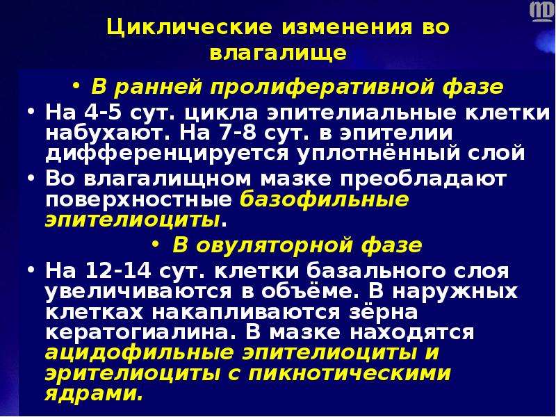 Циклические изменения