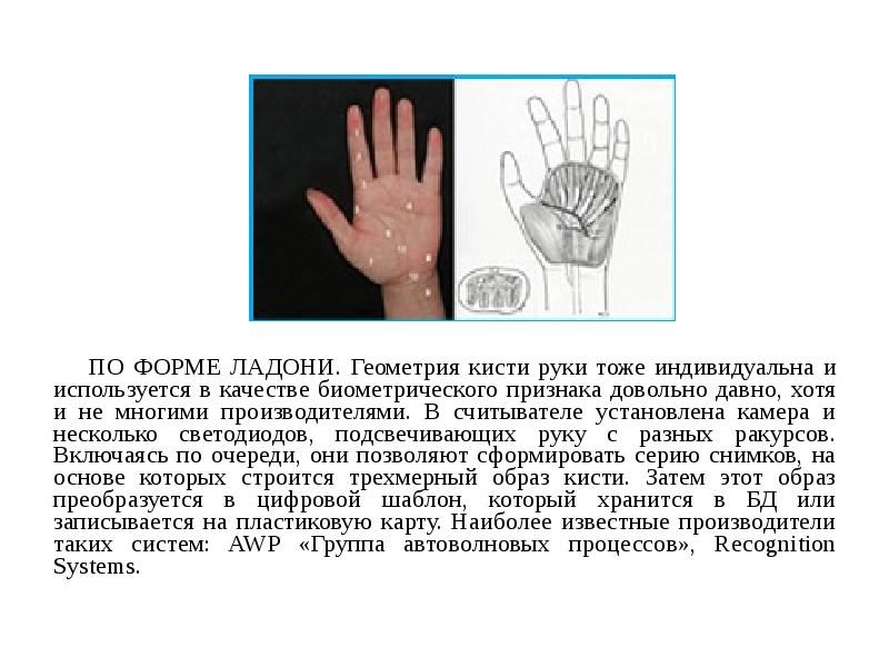 Идентификация по рисунку вен