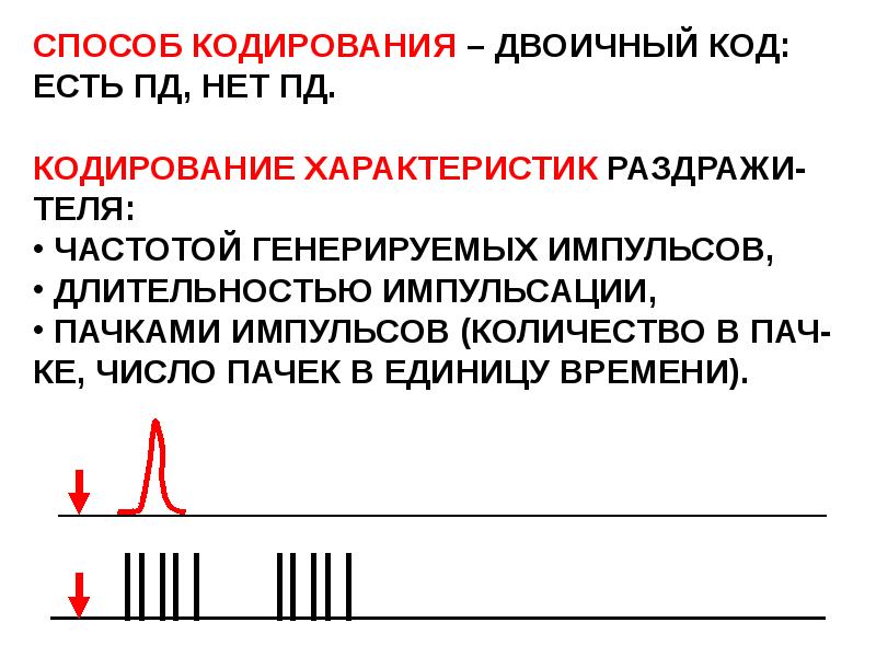 Временное кодирование