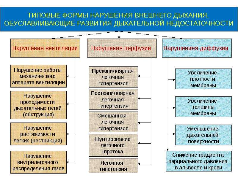 Проявление нарушений внешнего дыхания блок схема