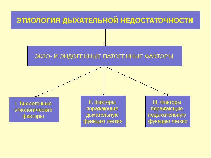 Патофизиология внешнего дыхания презентация