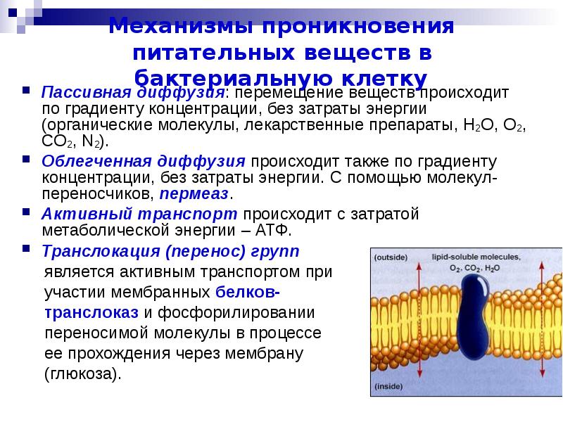 Механизм поступления