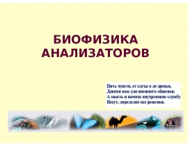 БИОФИЗИКА АНАЛИЗАТОРОВ