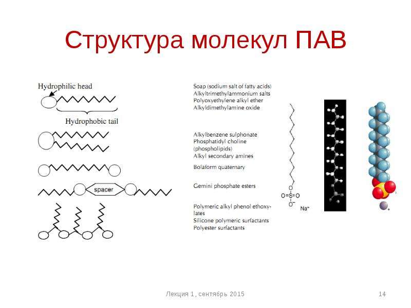 Поверхностно активные вещества. Дифильное строение молекулы пав. Поверхностно-активные вещества строение молекул. Пав особенности строения молекулы. Схема строения молекул пав.