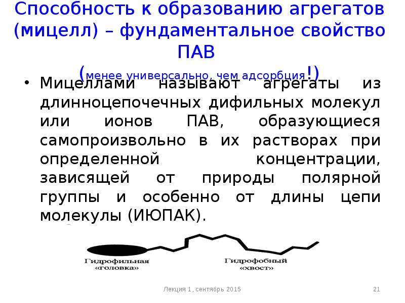 Поверхностно активные свойства. Дифильной основе. Дифильный характер.