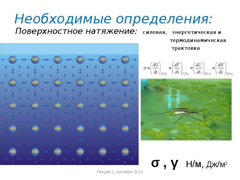 Поверхностное натяжение nacl. Поверхностное натяжение. Поверхностное натяжение формула химия.