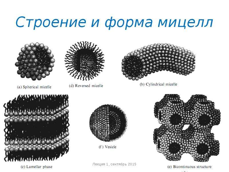 Поверхностные системы. Мицеллы пав. Сферические мицеллы пав. Анизометрические мицеллы. Сферическая форма мицелл.