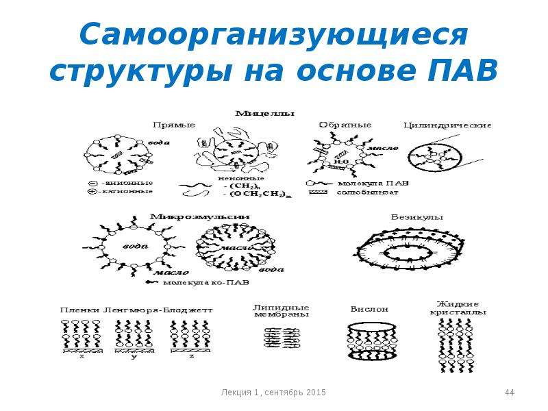 Схема расположения молекул эмульгатора на капельке дисперсной фазы в эмульсиях м в и в м