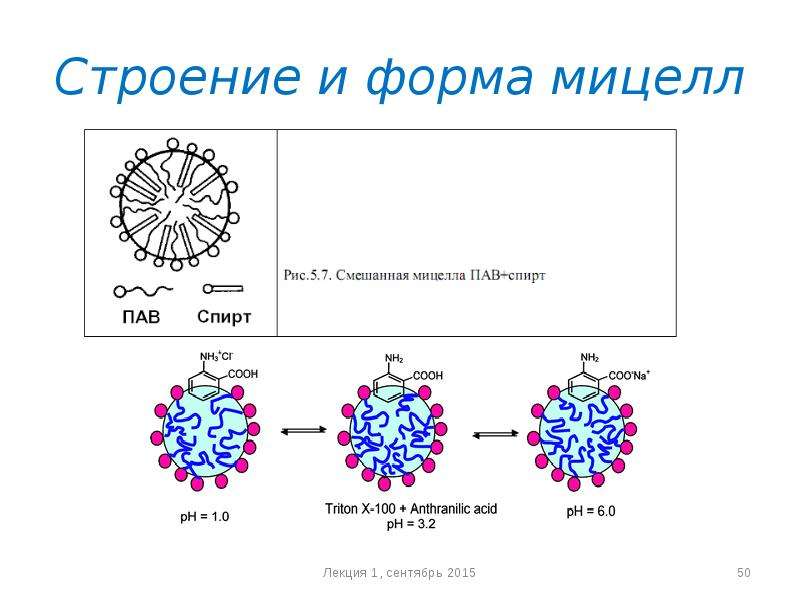 Мицеллы пав. Строение мицеллы. Мицелла рисунок. Мицеллообразующие поверхностно-активные вещества. Мицеллообразующие поверхностно-активные вещества картинки.