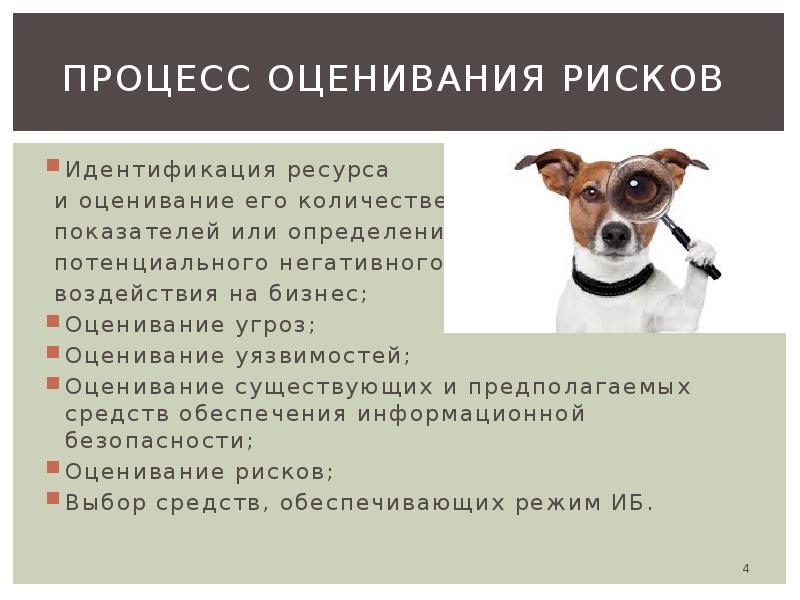 Критерии количественной оценки опасностей. Шкала для измерения опасности и безопасности.