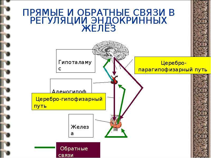 Схема прямой связи