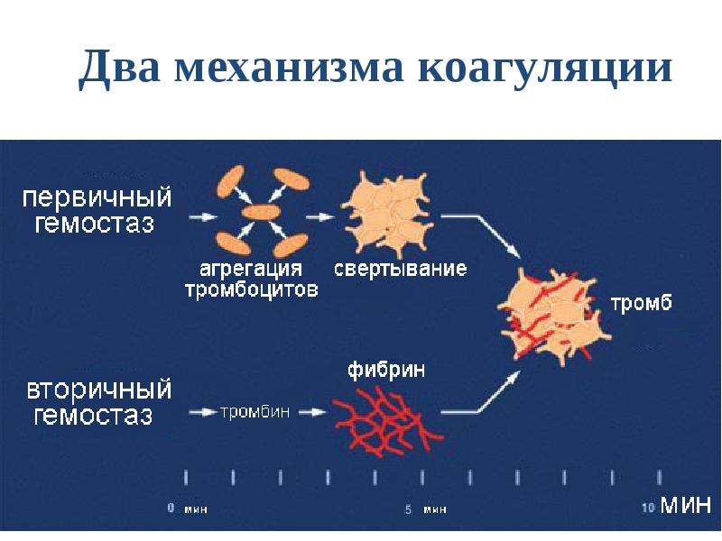 Два механизма