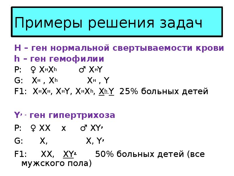 Урок биологии 10 класс генетика пола