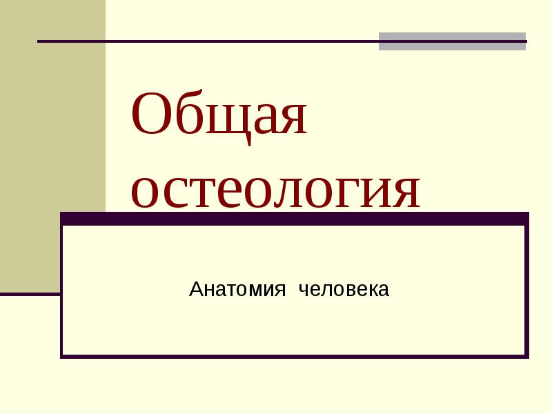 Темы для проекта по анатомии