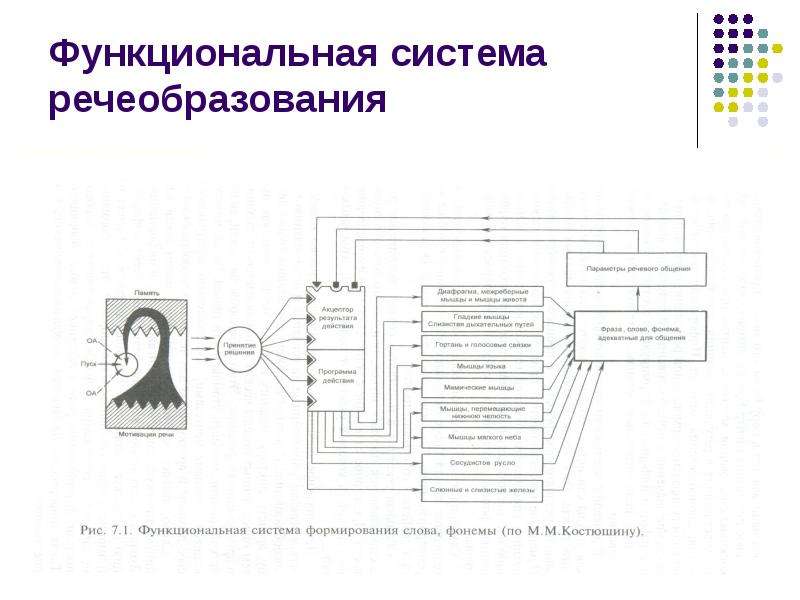 Укажите функциональное. Функциональная система и речевая функциональная система. Схема речеобразования. Функциональная система речеобразования. Функциональную систему формирования фонемы.