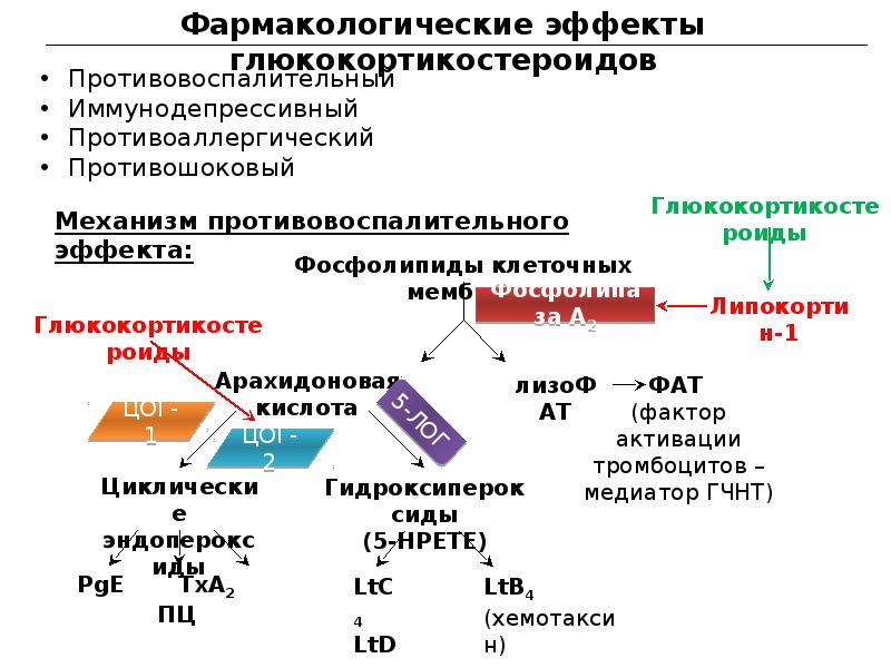 Иммунотропные препараты фармакология презентация