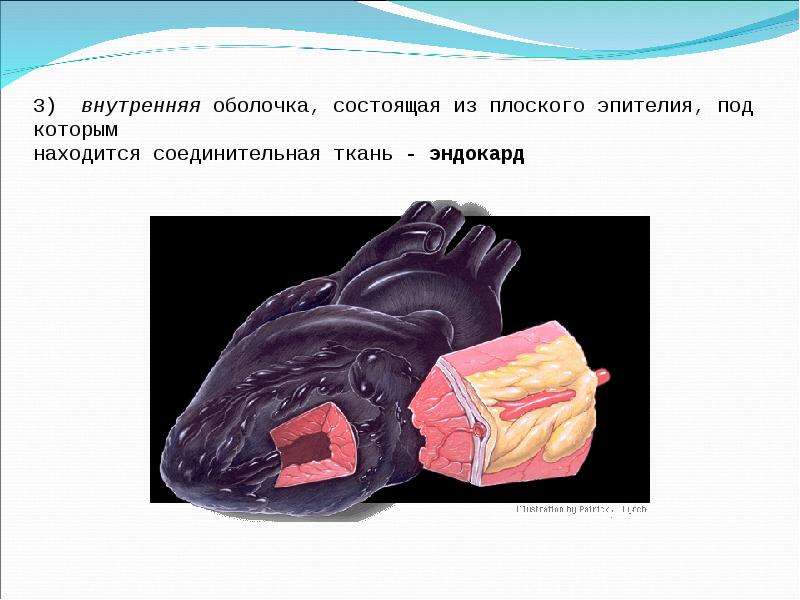 Внутренняя оболочка. Физические основы геодинамики.