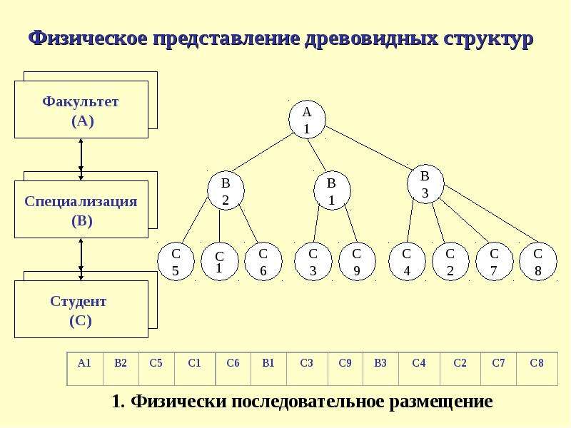 Физическая организация