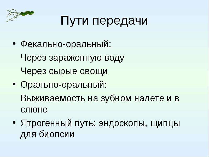 Заразиться Через Оральный Секс