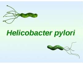 Helicobacter pylori