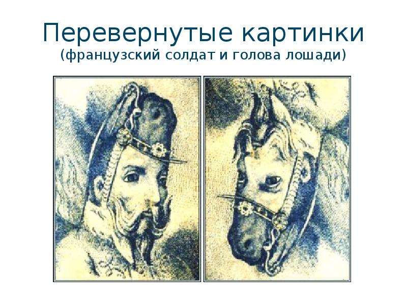 Перевертыши цветные картинки