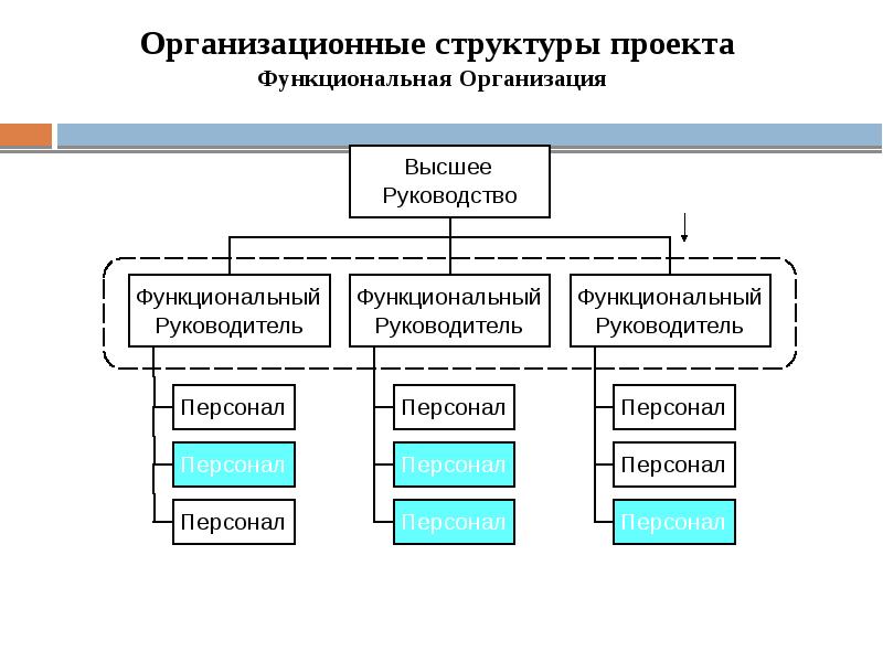 Функциональная структура управления проектом