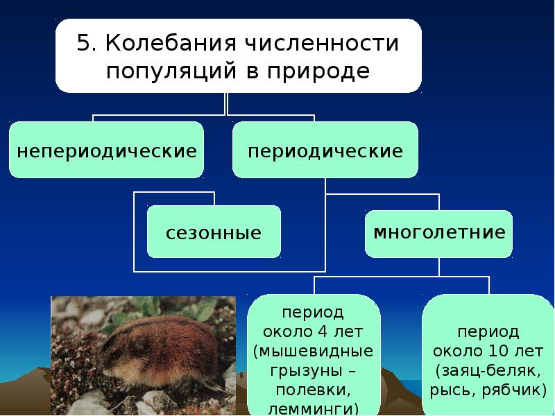 Увеличение популяции