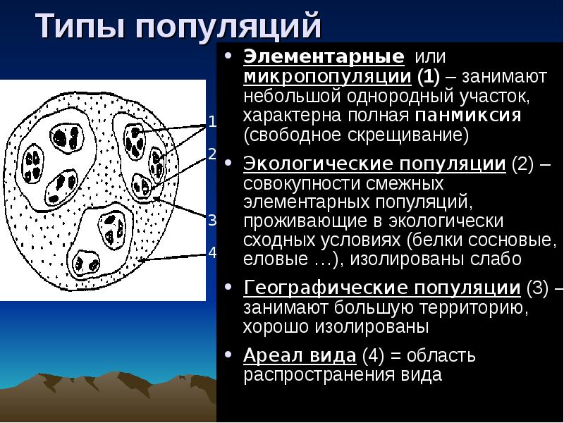 2 вид популяция