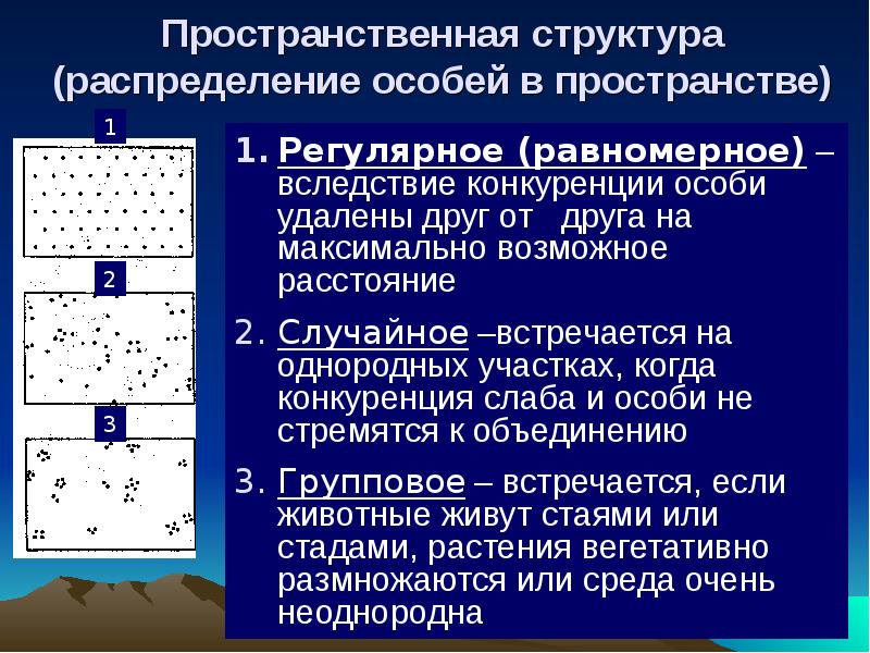 Неравномерная диффузная. Типы распределения особей в пространстве. Пространственное размещение особей популяции. Типы распределения популяций. Типы распределения популяций в пространстве.