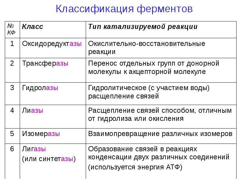 Классификация ферментов картинки