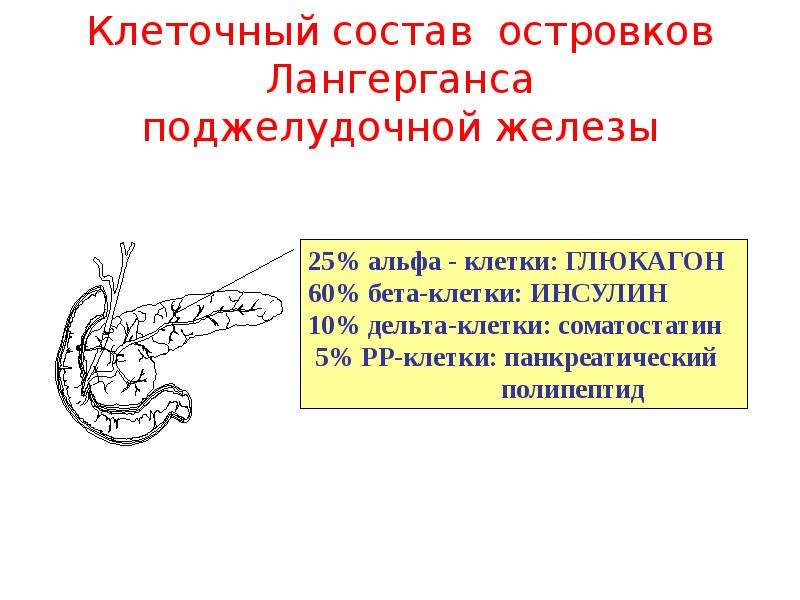 Онтогенез человека репродуктивное здоровье презентация 10 класс