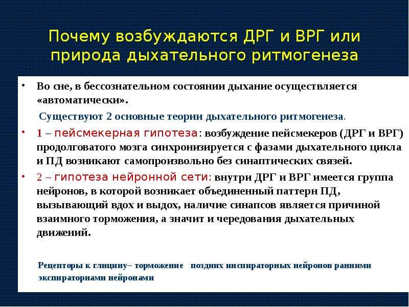 Причины возбуждения. Теории дыхательного ритмогенеза. Теории респираторного ритмогенеза. Ритмогенез дыхательного цикла.