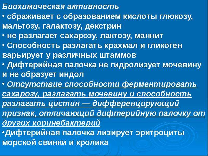 Биохимическую активность. Биохимическая активность. Биохимическая активность возбудителя дифтерии. Биохимическая активность коринебактерий. Дифтерия биохимическая способности.