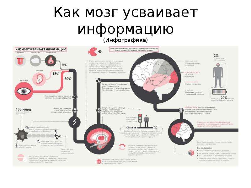 Оперативная память это в психологии