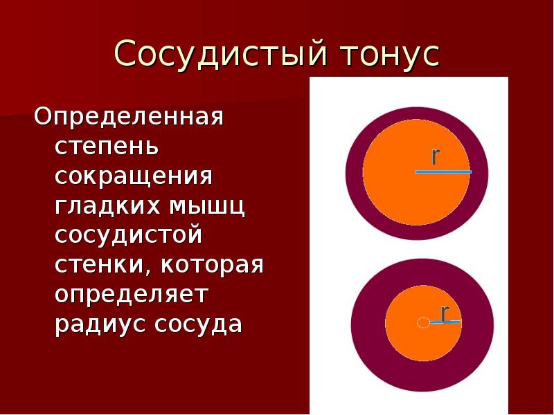 Радиус сосуда. Сосудистый тонус. Сосудистый тонус и его компоненты. Виды сосудистого тонуса. Сосудистый тонус его виды.