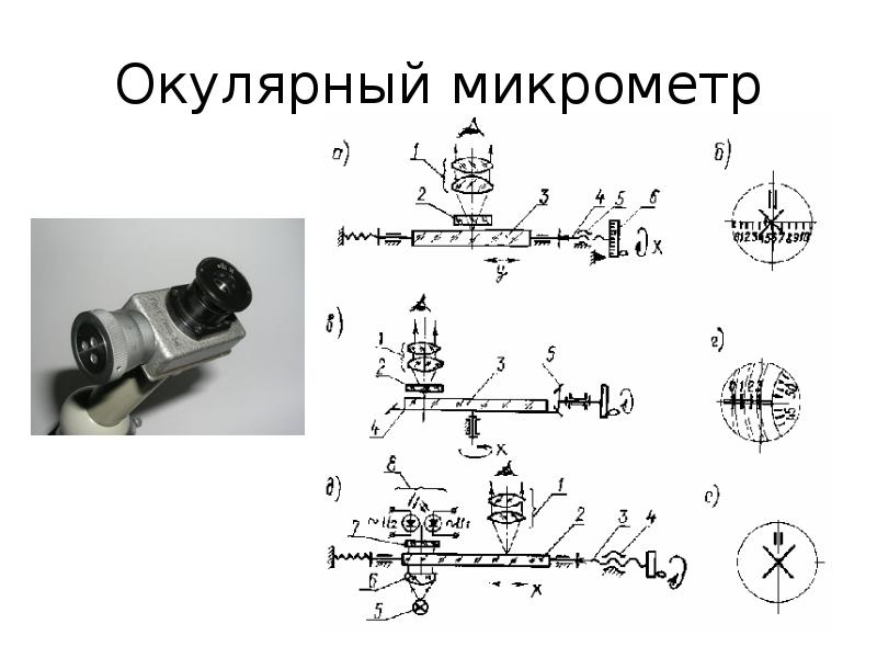 В зрительной трубке микроскопа находится