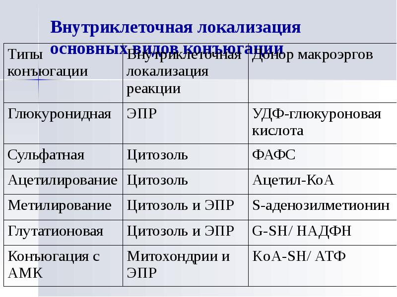 Физические и географические параметры компартмента образец