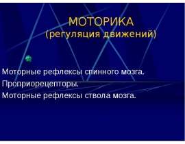 Моторика