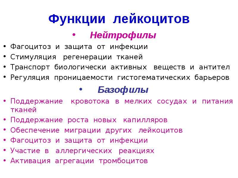 Функции лейкоцитов. Функции лейкоцитов нормальная физиология. Функции нейтрофилов. Функции лейкоцитов нейтрофилы. Нейтрофильные лейкоциты функции.